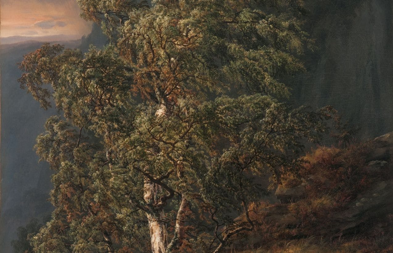 Et maleri av et bjørketre. Det blåser og treet bøyer seg lett.
